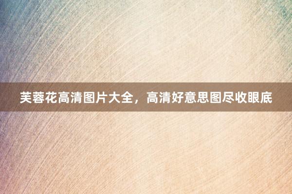 芙蓉花高清图片大全，高清好意思图尽收眼底